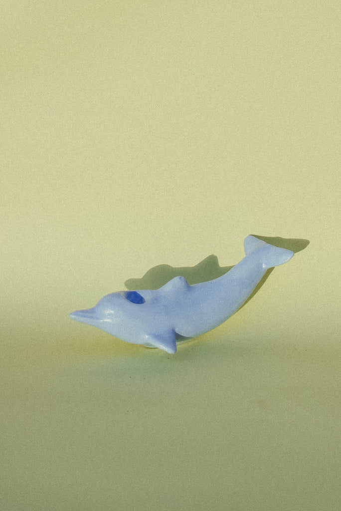 Blue Dolphin Pipe