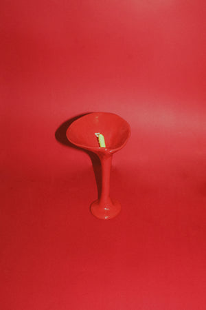 Anthurium Martini Cup - Red