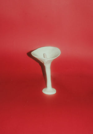 Anthurium Martini Cup - Cream